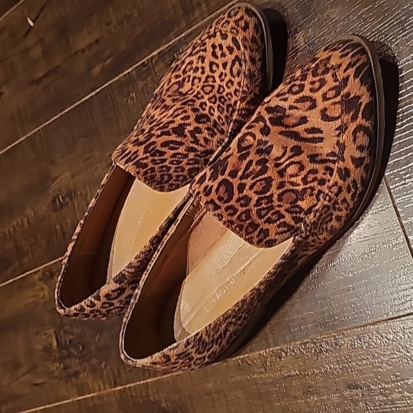 Flats - Picture 1 of 1